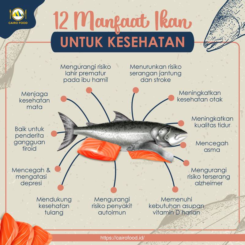 12 manfaat ikan untuk kesehatan