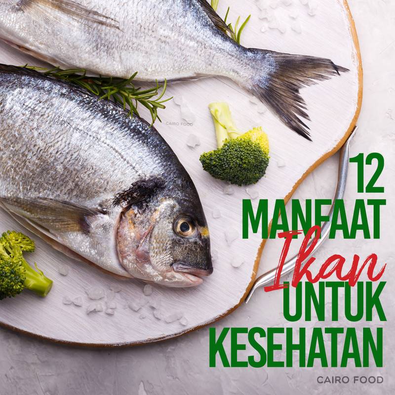 12 manfaat ikan untuk kesehatan