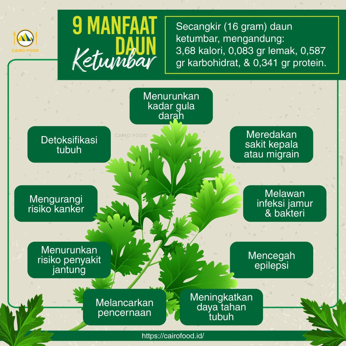 9 manfaat daun ketumbar yang harus kamu ketahui