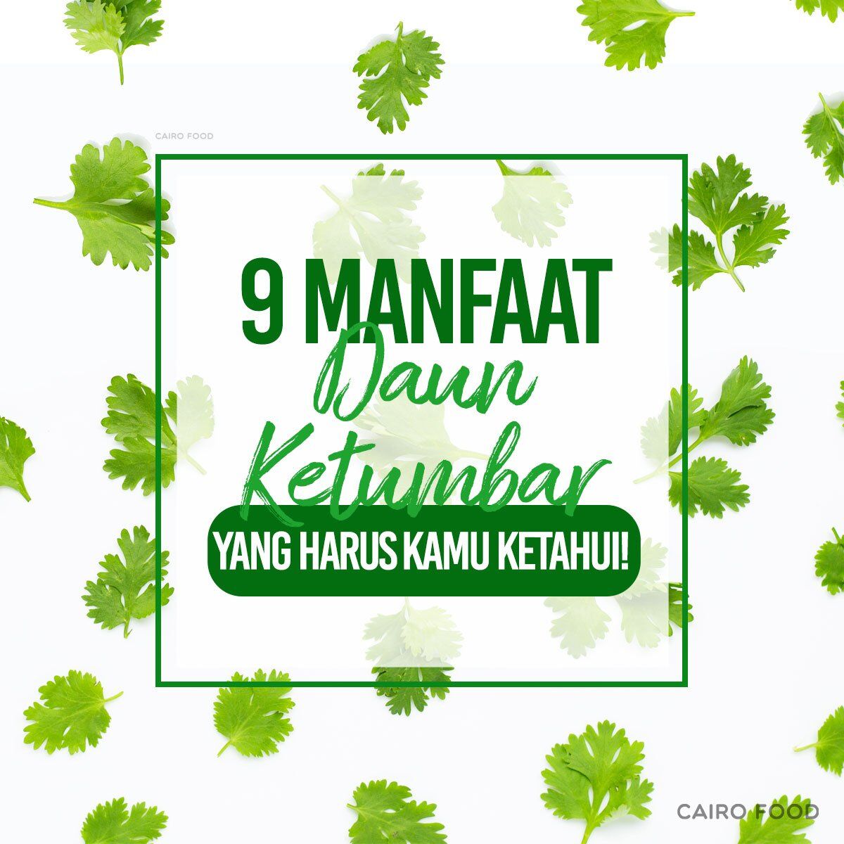 9 manfaat daun ketumbar yang harus kamu ketahui