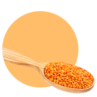 komposisi lentil kuning