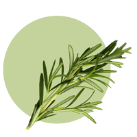 Rosemary