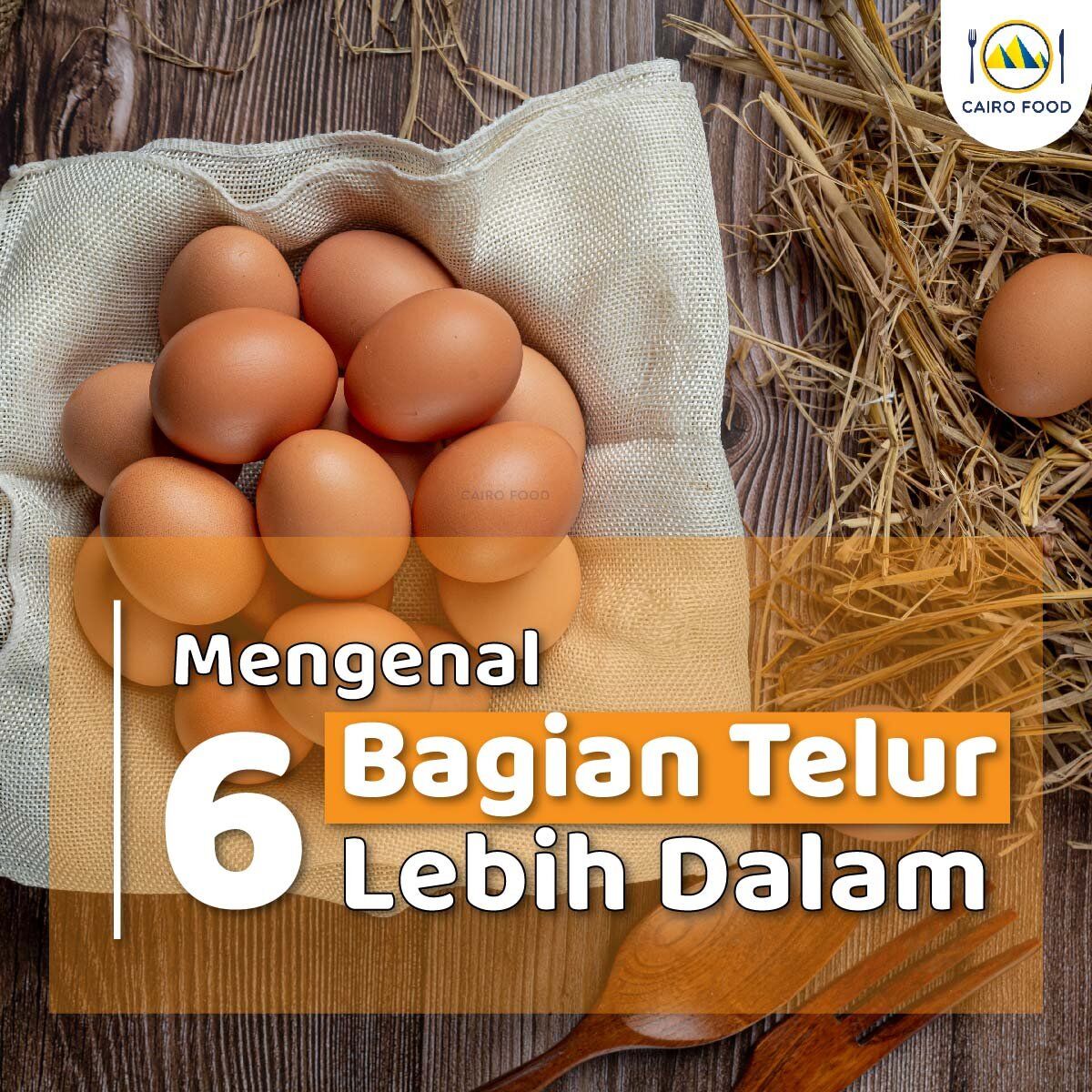 Mengenal 6 Bagian Telur Lebih Dalam