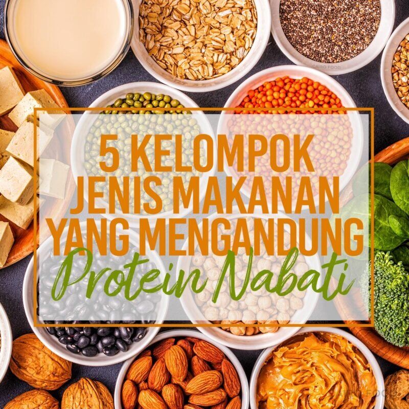 5 Kelompok Jenis Makanan Yang Mengandung Protein Nabati 7412