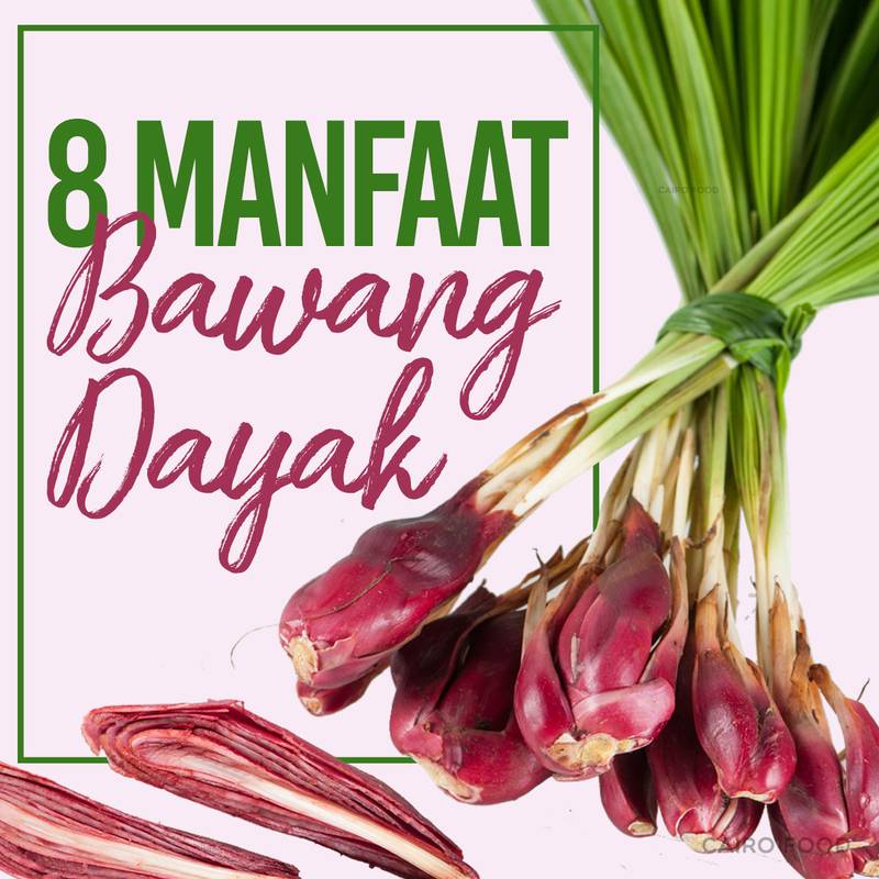 8 Manfaat Bawang Dayak Bagi Kesehatan Cairo Food 7689