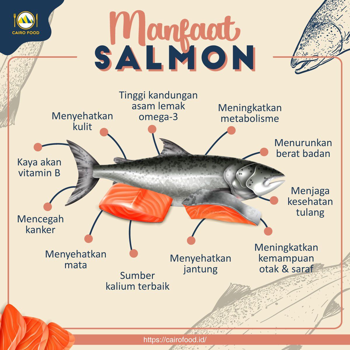 11 Manfaat Ikan Salmon Untuk Kesehatan - Cairo Food